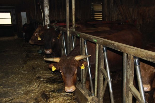 2010-05-31 -63- Grossuebung St. Andreasberg